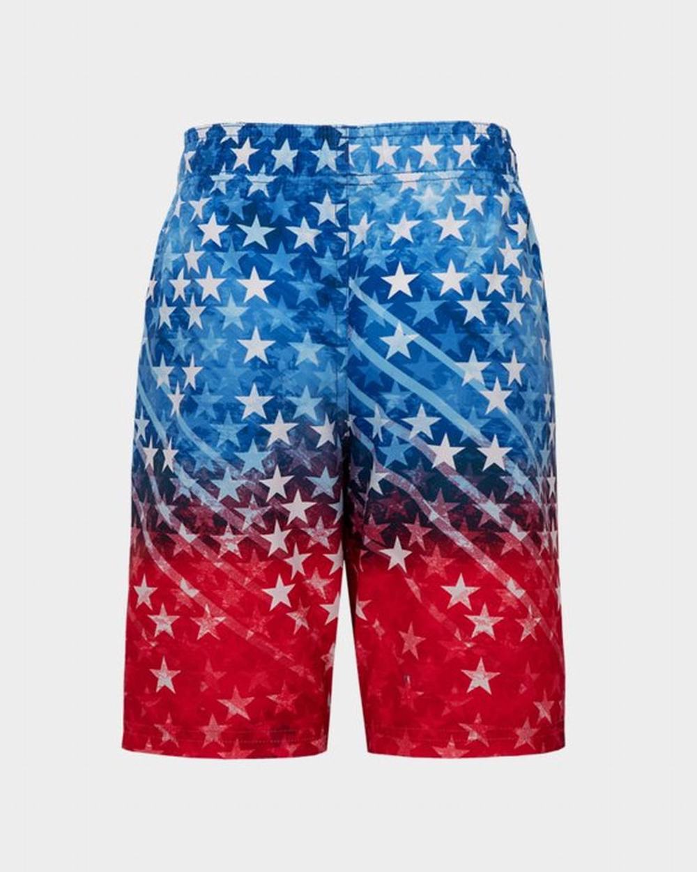 Stroje Kąpielowe Vans UA Logo Rise Chłopięce Czerwone | GMWQ26830