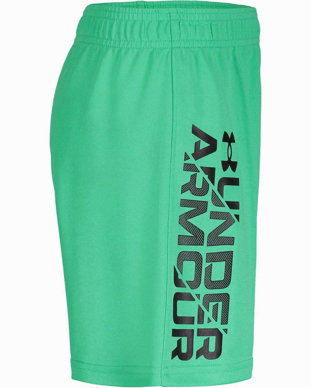 Szorty Vans UA Big Logo Flag Fill Chłopięce Zielone Czarne | IKXR96415
